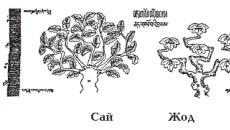 Drugovi iz razreda