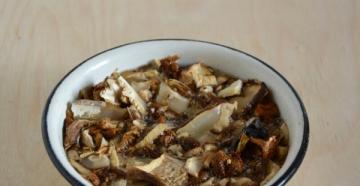 Cara memasak sup jamur porcini kering yang nikmat