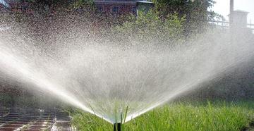 Cilat janë sistemet më të mira të ujitjes për kopshtet dhe vilat?