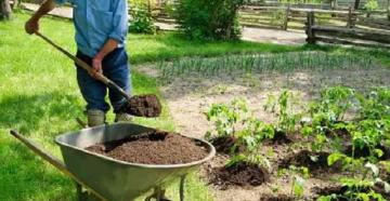 Как выбрать удобрения для сада и огорода